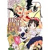 Stray Little Devil Volume 3 (v. 3)