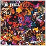 butterfly house LP