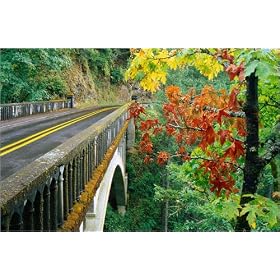 photographie Trees in autumn beside bridge over Columbia River Gorge. est disperible en (L x H):...