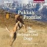 Pukka's Promise: The Quest for Longer-Lived Dogs