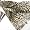 Pashmina Feel Leopard Animal Print Scarf - Brown Image #3