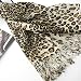 Pashmina Leopard Animal Print Scarf - Brown Image #3