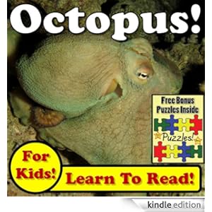 About Octopuses