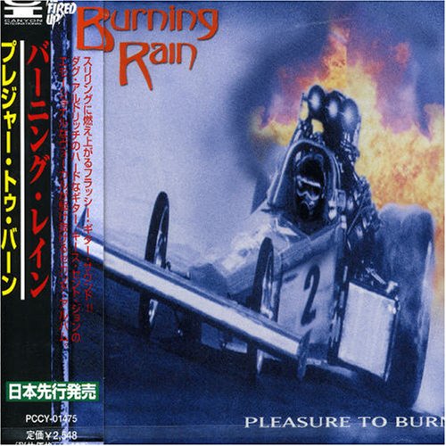 Pleasure to Burn