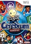 Cerebrum