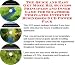 The Quick and Easy Get More Biz, Success Principles and Inner Game for Scrapbook Templates Internet Businesses 3 CD Power Pack