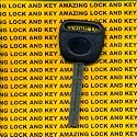 1996 LEXUS ES300 KEY