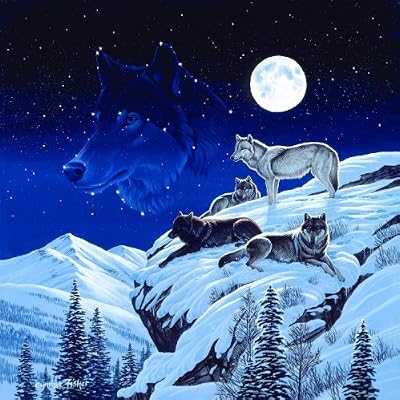 Moonlight Sentinel 500pc Jigsaw Puzzle by Cynthie Fisher