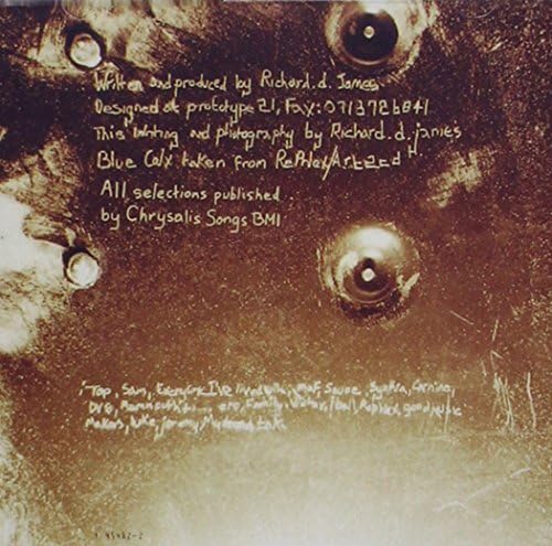 Selected Ambient Works Vol.2