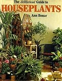The guide to houseplants