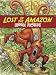 Lost in the Amazon: Hidden Pictures (Dover Children's Activity Books) by Jan Sovak