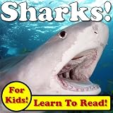 Sharks! Learn About Sharks While Learning To Read - Sharks Photos And Facts Make It Easy! (Over 45+ Photos of Sharks)
