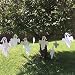 VictoryStore Halloween Decorations: Scary Hanging Ghosts- Set of 13