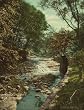 Gentle Waterfall, Wade Park, Cleveland, ca. 1901 - Exceptional Print of a Vintage Photochrom Image from the Library of Congress Collection
