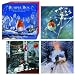 Traditional Christmas Cards Bumper Box