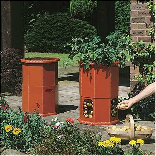 Childrens Toyshop  Outdoor Living : PATIO POTATO BARREL PLANTER