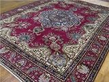 10'0 x 12'9 Burgundy Persian Hand Knotted Wool Tabriz Rug