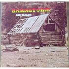 Barnstorm by  Joe Walsh, Joe Walsh [synthesizer-guitar-keyboards and vocals], Joe Vitale [flute-percussion-drums-keyboards and vocals], Kenny Passarelli [bass-guitar and vocals], and Al Perkins [steel guitar] 