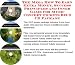 The Rich Man's How To Earn Extra Money, Marketing and Success Principles for Music Concert Tickets On-line Businesses 3 CD Power Pack by William A. Johnson