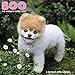 Boo Wall Calendar (2016)