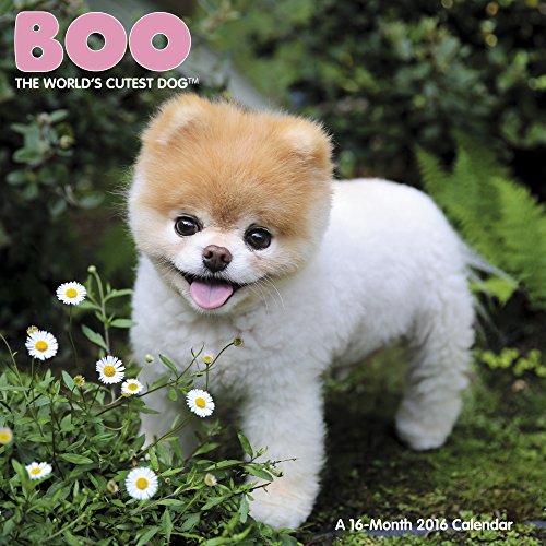 Boo Wall Calendar (2016)