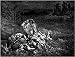 2.75inch x 2 inch (7.5cm x 5cm) Fridge Magnet Gustave Dore Dante The Styx The Irascible