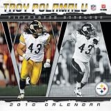 Troy Polamalu (Pittsburgh Steelers) 2010 Wall Calendar