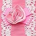 Binmer(TM)Pet Dog Clothes Puppy Flower Skirts Dress Crystal Bowknot Lace Floral Pet Princess Clothes (M)