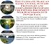 The Rich Man's How To Earn Extra Money, Marketing and Success Principles for Fitness Equipment Web Biz 3 CD Course