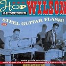 Steel Guitar Flash