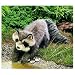Folkmanis Large Raccoon Pupppet