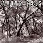 Among Trees 2008 Wall Calendar