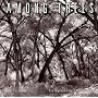 Among Trees 2008 Wall Calendar