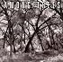 Among Trees 2008 Wall Calendar