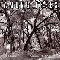 Among Trees 2008 Wall Calendar