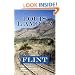 Flint (Center Point Premier Western (Large Print))