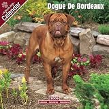 Eigenschaften Avonside Publishing Ltd.  / Kalender 2009 Dogue de Bordeaux - Bordeauxdogge