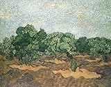 IMAGE OF Hand Made Oil Reproduction - Vincent Van Gogh - 32 x 26 inches - Olive Grove Pale Blue Sky