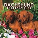 Dachshund Puppies 2007 Calendar