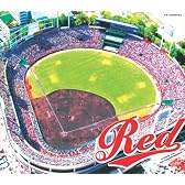 REDたる募金共同キャンペーン応援歌