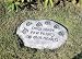 Evergreen 84576 Garden Stone, Dogs Leave Paw Prints on Our Hearts, 11.5-Inche...