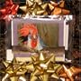 Chicken Photo Note Cards (Set)