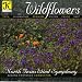 North Texas Wind Symphony: Wildflowers