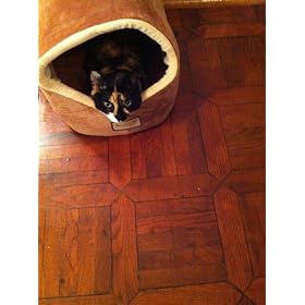 Armarkat Cat Bed