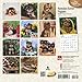 Yorkshire Terrier Puppies 2016 Calendar