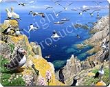 Review Advanta  / PUFFIN ISLAND GIFTS Mouse Mat