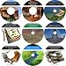 The Inventive Nine CD No Money Down, Millionaire Making Real Estate Mastery Program