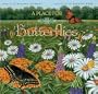 A Place for Butterflies