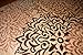 Feraghan/New City Contemporary Modern Floral Flowers Area Rug, 4' x 6', Brown/Beige