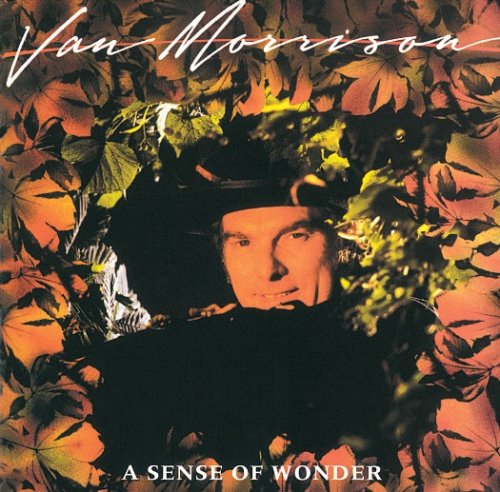 CD-Charts  Search : A Sense of Wonder